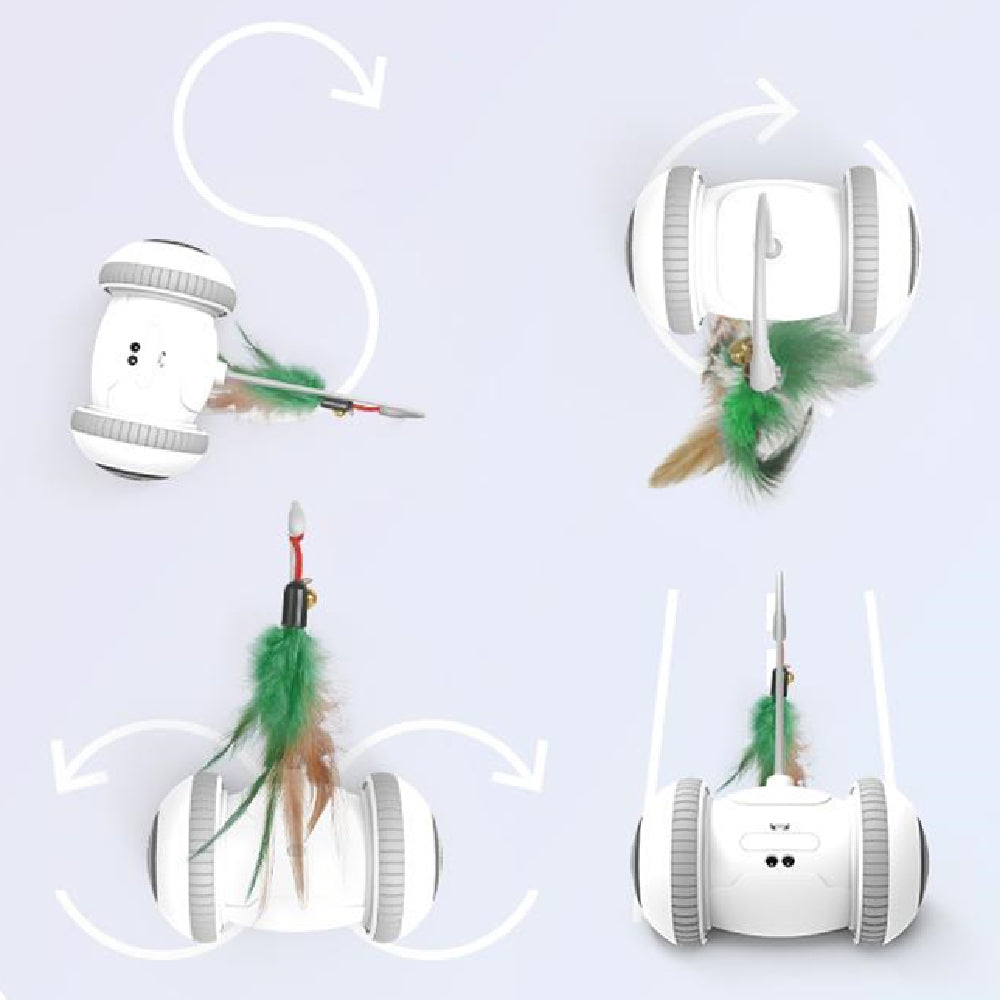 Unleash Your Cat's Inner Hunter with Interactive Cat Feather Toys